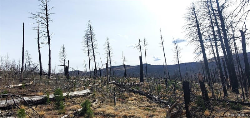 Lot 1224 Emery Loop, Fort Garland, CO 81133