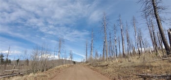 Lot 1224 Emery Loop, Fort Garland, CO 81133