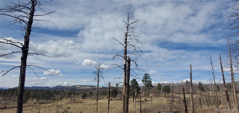 Lot 1224 Emery Loop, Fort Garland, CO 81133