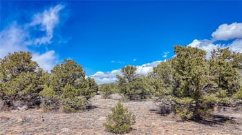 12499 Las Colinas Dr, Salida, CO 81201