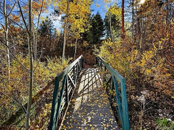 20341 Maxwell Dr, Morrison, CO 80465