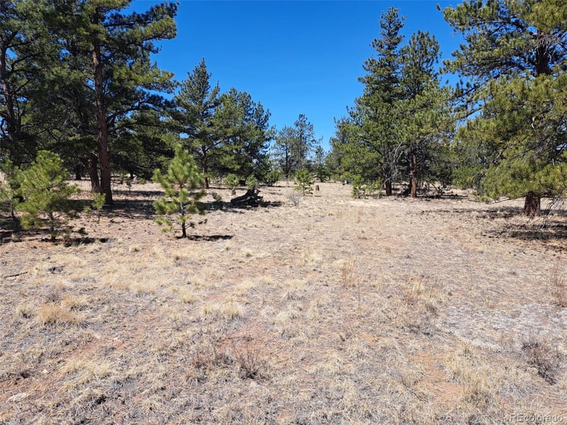 235 Maricopa Trl, Hartsel, CO 80449