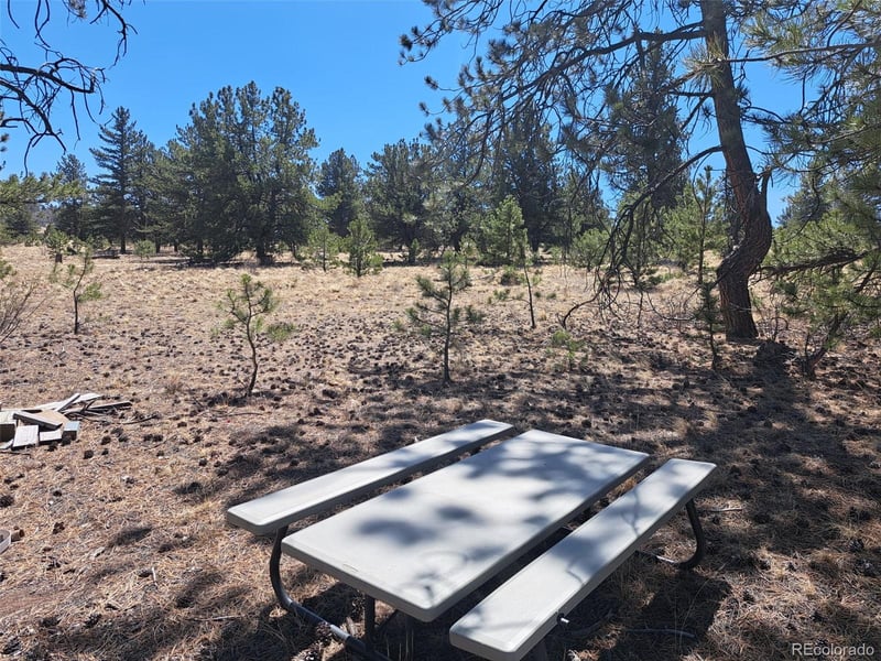 235 Maricopa Trl, Hartsel, CO 80449