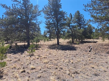 235 Maricopa Trl, Hartsel, CO 80449