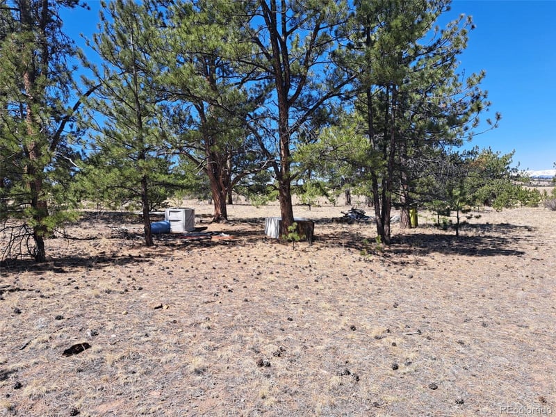 235 Maricopa Trl, Hartsel, CO 80449