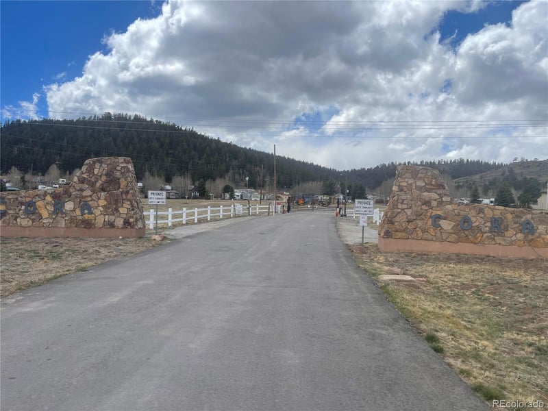 171 Rail Way, Fairplay, CO 80440