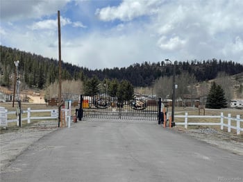 171 Rail Way, Fairplay, CO 80440