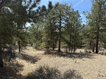 99 Cheyenne Way, Florissant, CO 80816