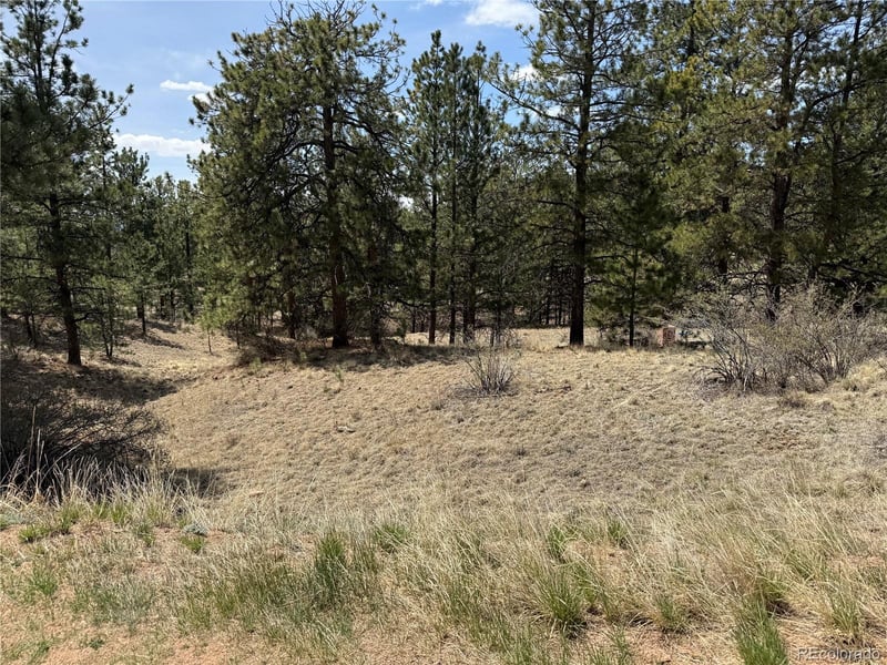 99 Cheyenne Way, Florissant, CO 80816