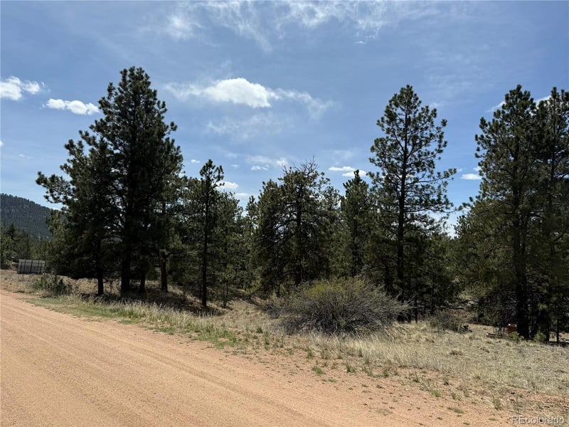 99 Cheyenne Way, Florissant, CO 80816