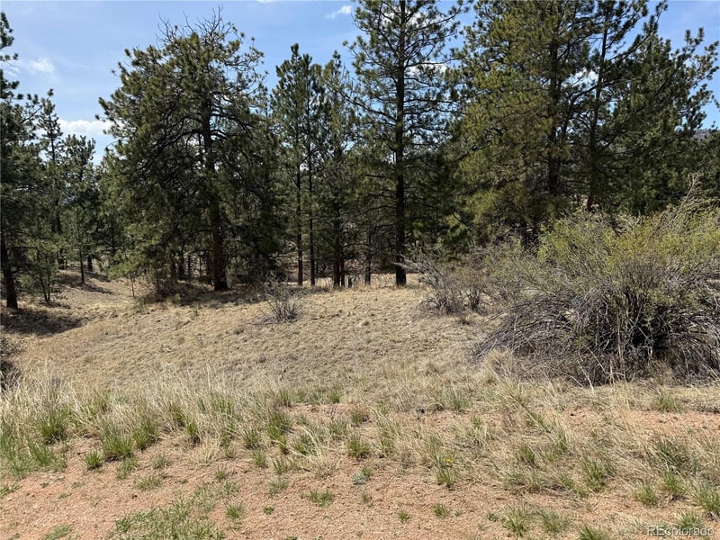 99 Cheyenne Way, Florissant, CO 80816