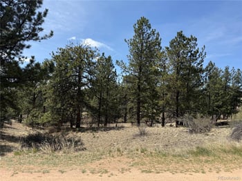 99 Cheyenne Way, Florissant, CO 80816