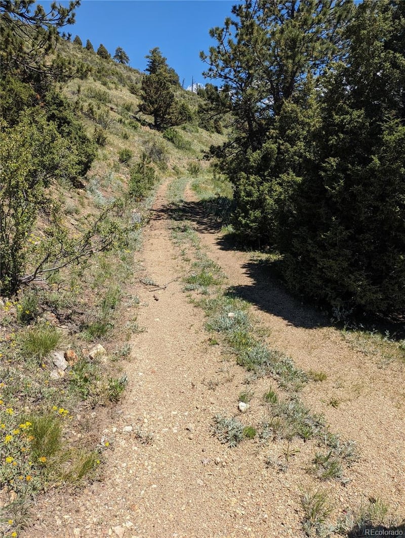 00 Maud L, Dumont, CO 80436