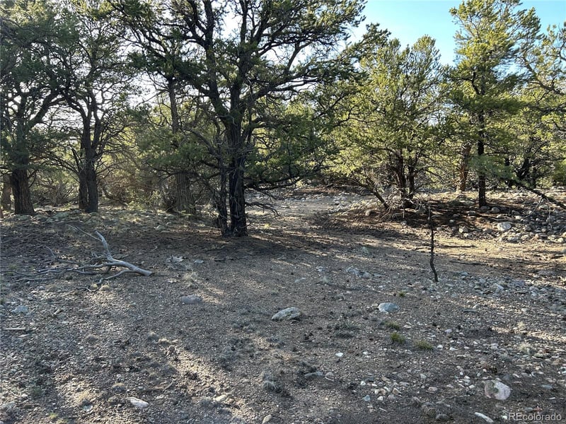 3821 Virtue Way, Crestone, CO 81131