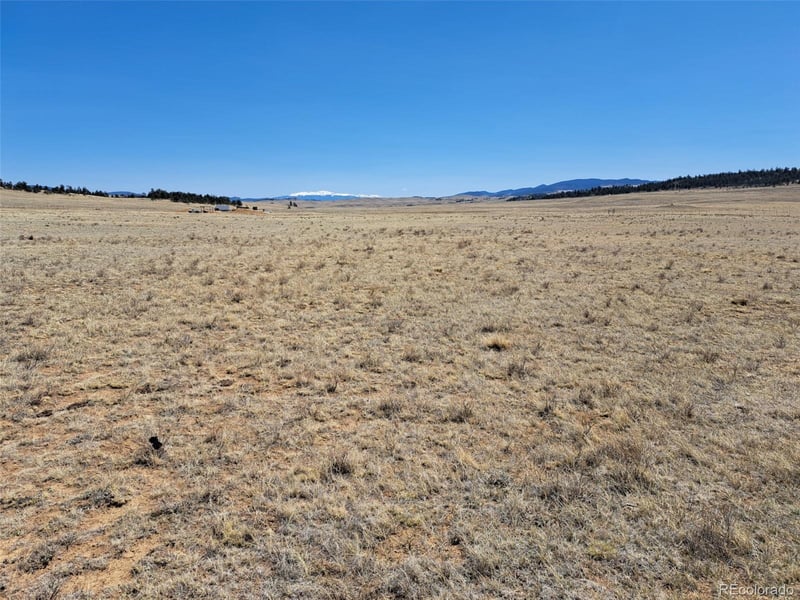 00 Chickasaw Rd, Hartsel, CO 80449