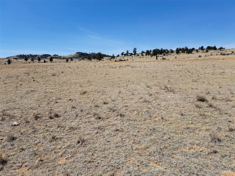 00 Chickasaw Rd, Hartsel, CO 80449