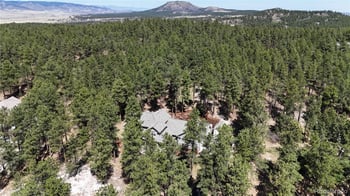 1767 Cinnamon Rd, Larkspur, CO 80118