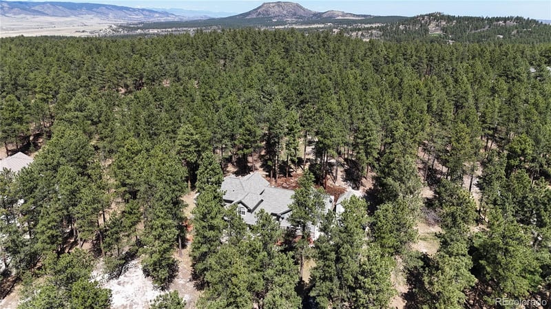 1767 Cinnamon Rd, Larkspur, CO 80118