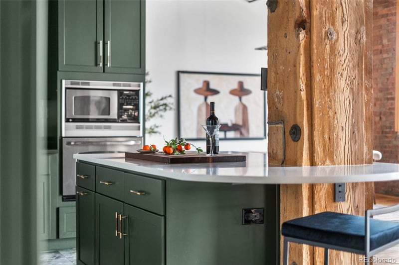 1127 Auraria Pw #404, Denver, CO 80204