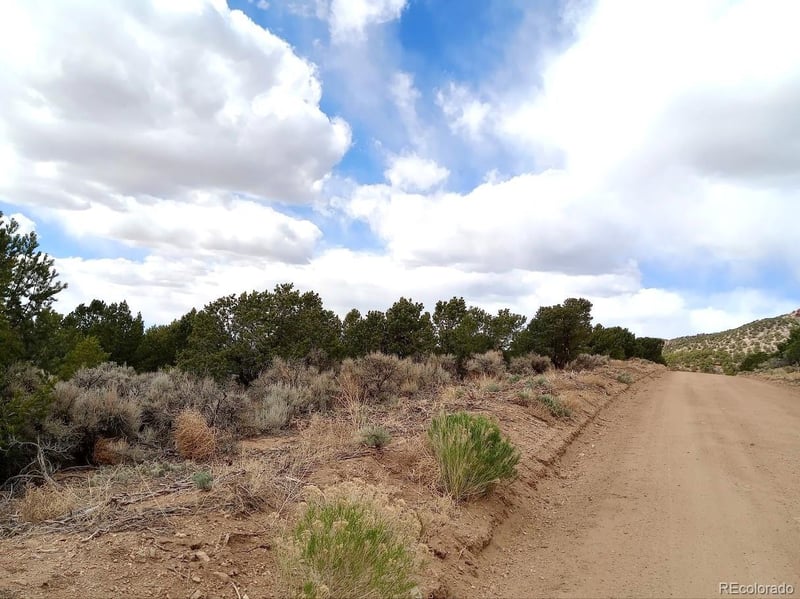 Lot 1258 Michaels Rd, Fort Garland, CO 81133