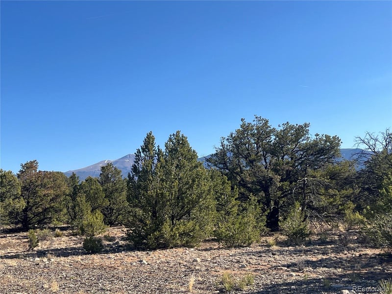 29262 Timber Rg, Buena Vista, CO 81211