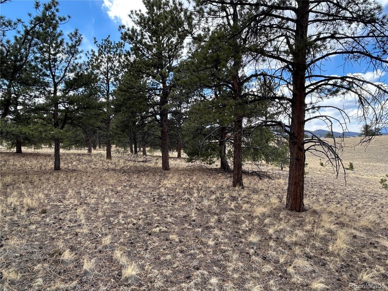 565 Brahma Cir, Hartsel, CO 80449