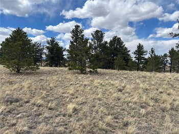 565 Brahma Cir, Hartsel, CO 80449