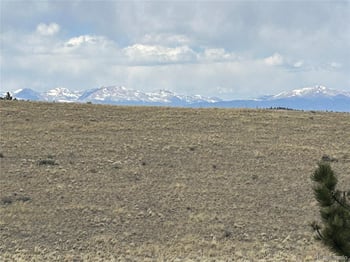 565 Brahma Cir, Hartsel, CO 80449