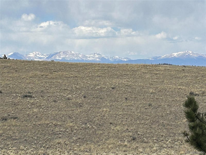 565 Brahma Cir, Hartsel, CO 80449