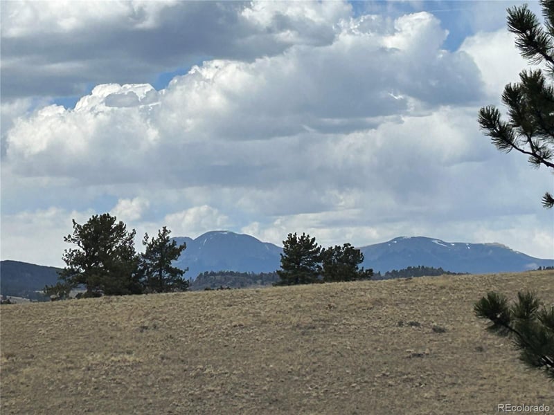 565 Brahma Cir, Hartsel, CO 80449