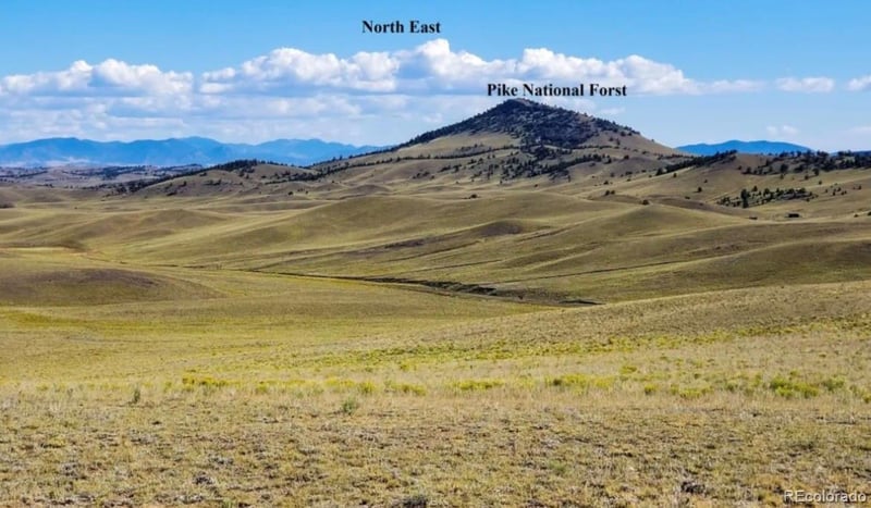 1804 Santee Trl, Guffey, CO 80820