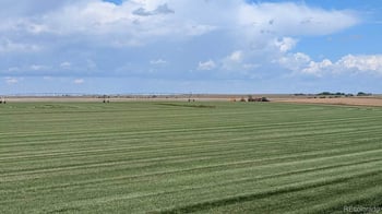 23500 Cr 5 , Rush, CO 80833