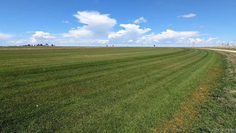 23500 Cr 5 , Rush, CO 80833