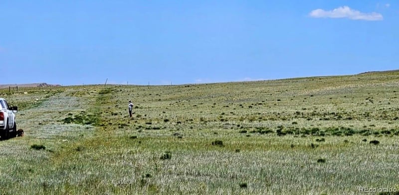 1828 Cheyenne Rd, Hartsel, CO 80449