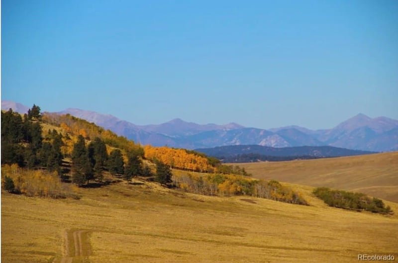 1245 Coochee Trl, Guffey, CO 80820