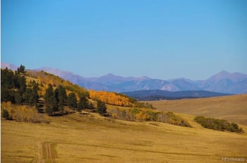 1245 Coochee Trl, Guffey, CO 80820