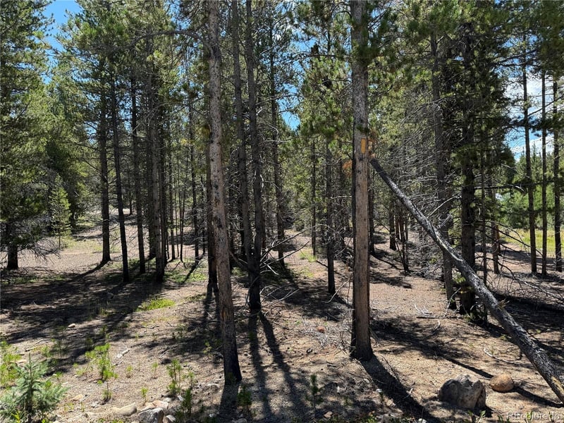 334 Baby Doe Dr Lot 20, Leadville, CO 80461