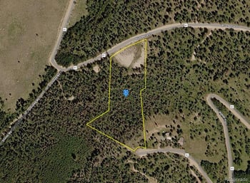 1015 Kebler Trl, Powderhorn, CO 81243