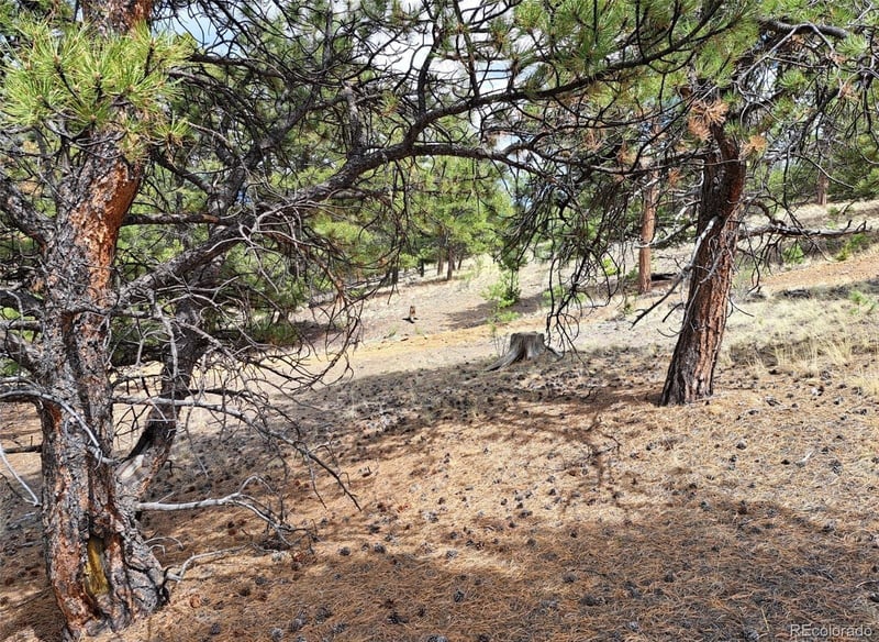 Lot 41 Willow St, Hartsel, CO 80449