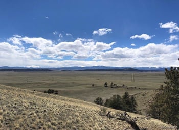 Lot 41 Willow St, Hartsel, CO 80449