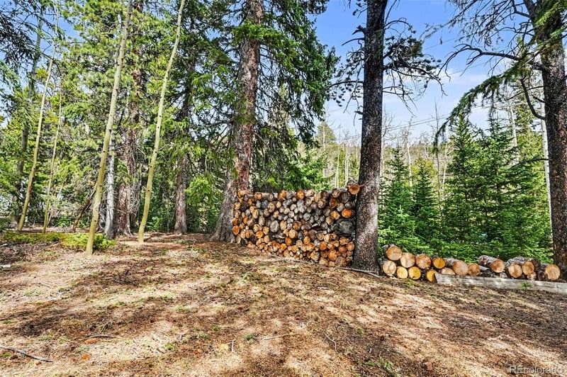 100 Aspen Ln, Evergreen, CO 80439