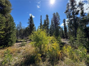 517 Augusta Dr, Leadville, CO 80461