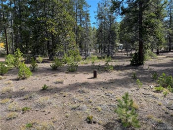 517 Augusta Dr, Leadville, CO 80461