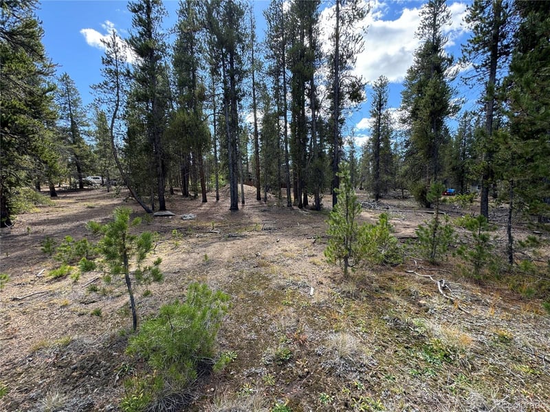 517 Augusta Dr, Leadville, CO 80461