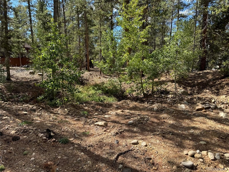 517 Augusta Dr, Leadville, CO 80461