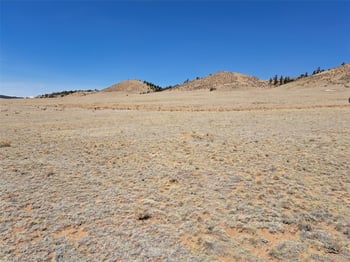 5620 Jackson Rd, Hartsel, CO 80449