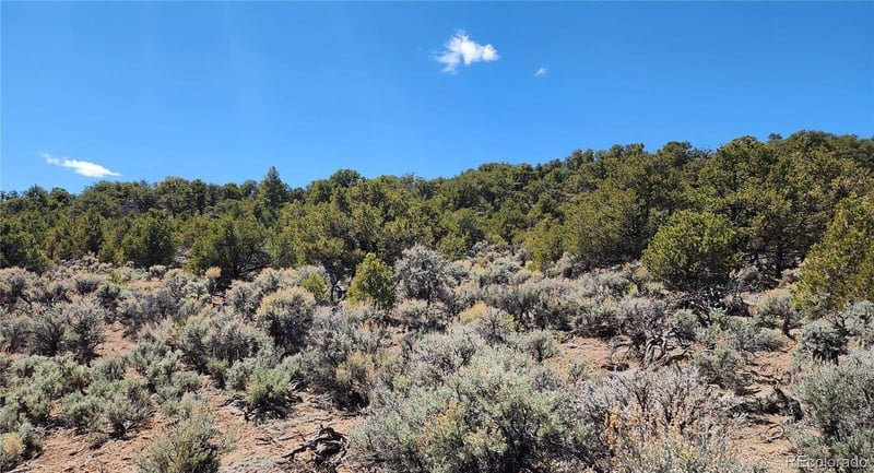 Lot 48 Erin The Red Rd, San Luis, CO 81152