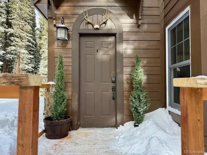 215 Bum Dr, Fairplay, CO 80440