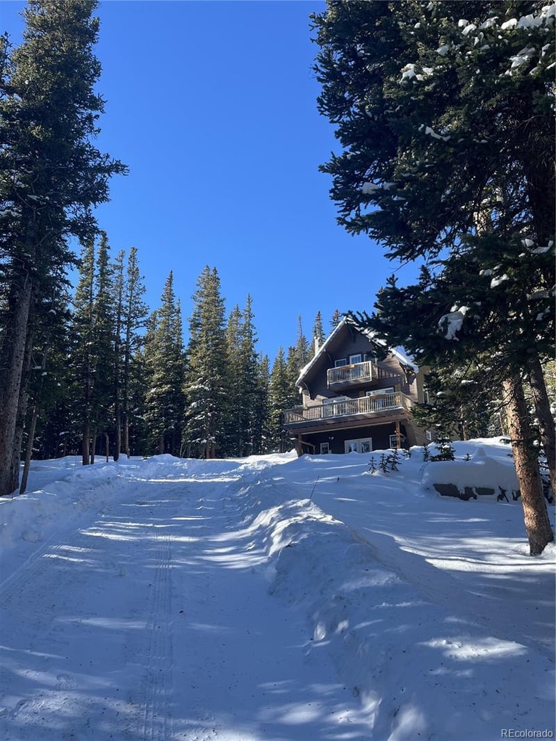 215 Bum Dr, Fairplay, CO 80440