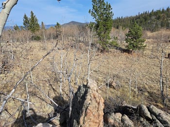 93 Wyandot Way, Como, CO 80432